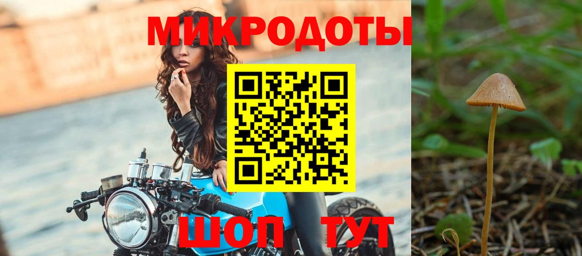 Галлюциногенные грибы GOLDEN TEACHER Дятьково